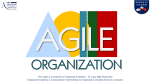 Agile Organization