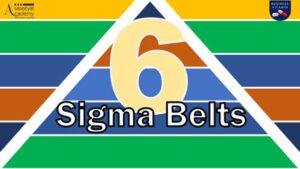 Six Sigma belts