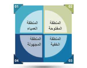 أداة نافذة جوهري