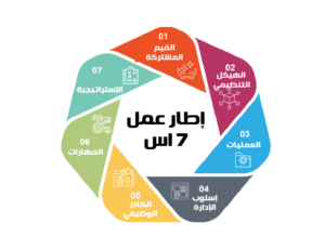 اطار عمل 7 اس – ماكينزي